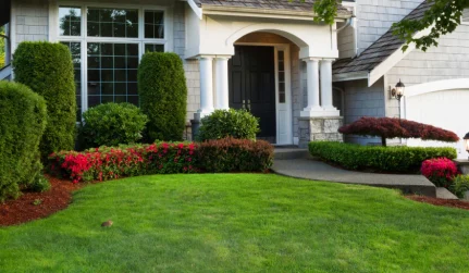 Landscape Design & Installation